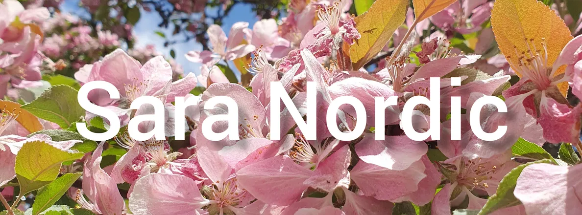 OnlyFans cuenta saranordicfree header 2