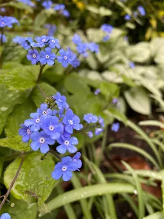 OnlyFans cuenta bitchtits.xx avatar 1