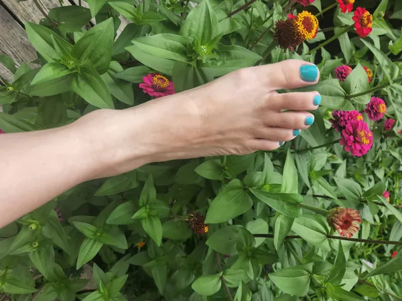 OnlyFans cuenta lizzyrich header 2