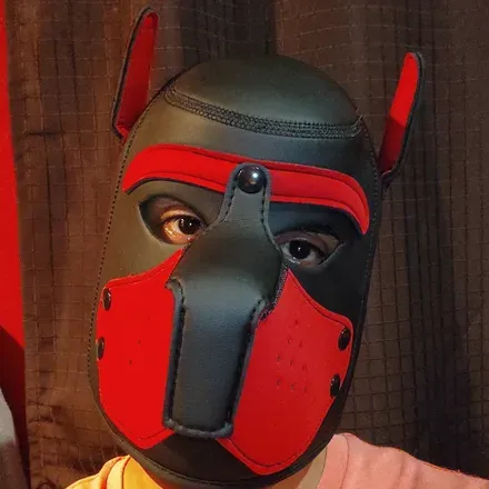OnlyFans cuenta tailer_pup23 avatar 1