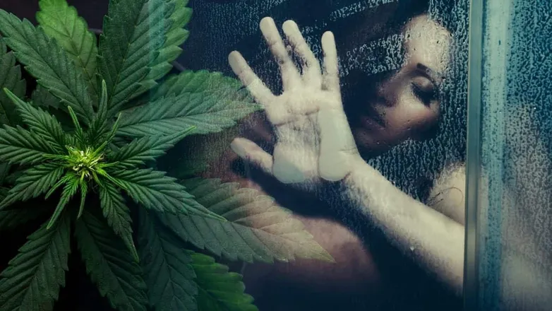 OnlyFans account  weedplug header 2
