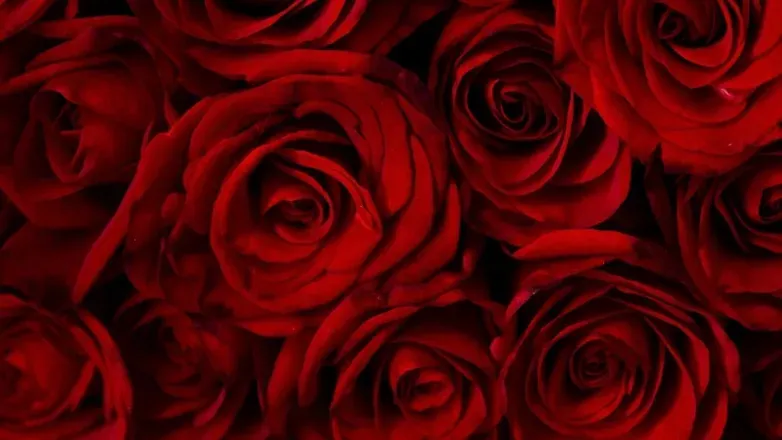 OnlyFans cuenta chloe.g22 header 2