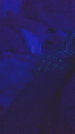 OnlyFans cuenta colombiansammy88 header 2