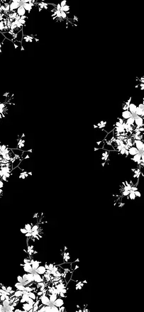 OnlyFans cuenta cherry.self.love02 header 2