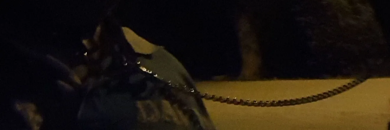 OnlyFans cuenta ehrbarmartin header 2