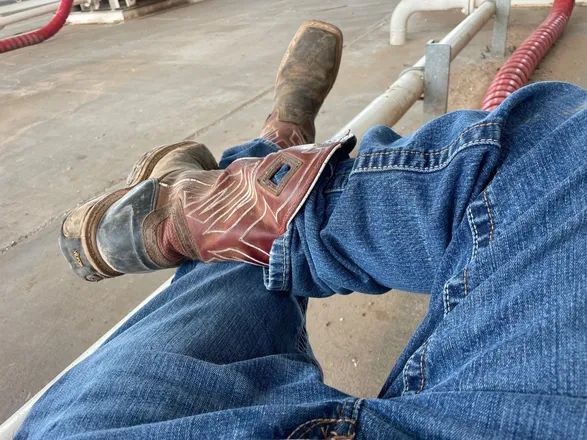 OnlyFans cuenta tx4profit header 2