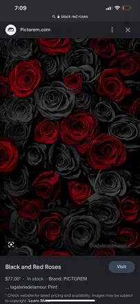 OnlyFans cuenta anniesass1 header 2