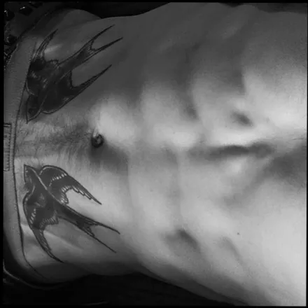 OnlyFans cuenta tattootarzan1386 header 2