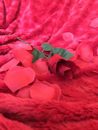 OnlyFans cuenta nikkk_d_s header 2