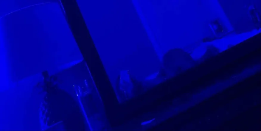 OnlyFans cuenta kvarna header 2