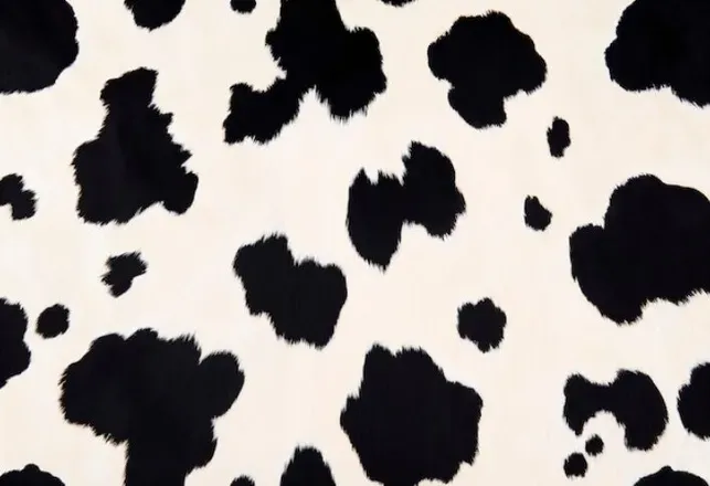 OnlyFans cuenta dairy_hucow header 2