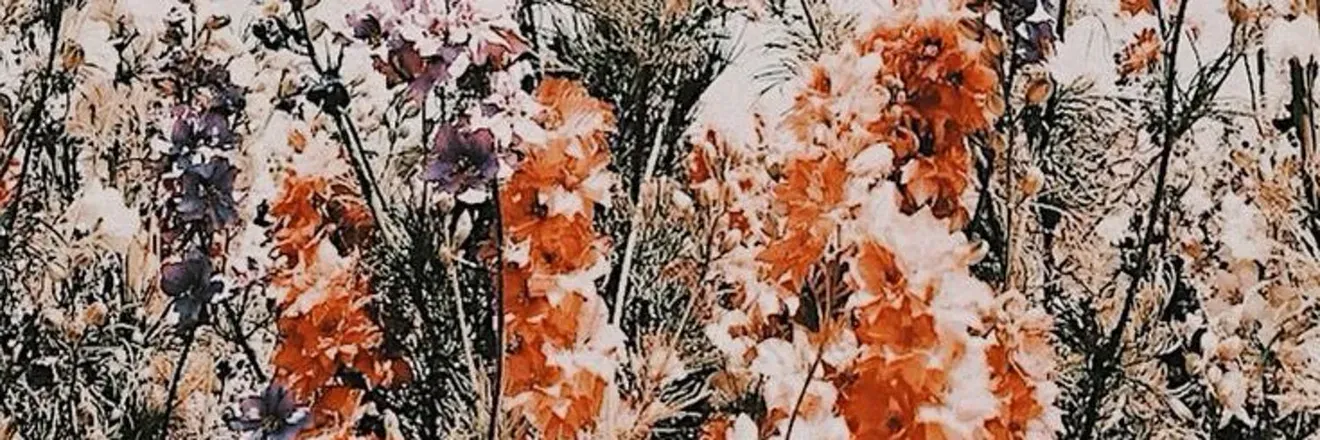 OnlyFans cuenta xxxxxh header 2
