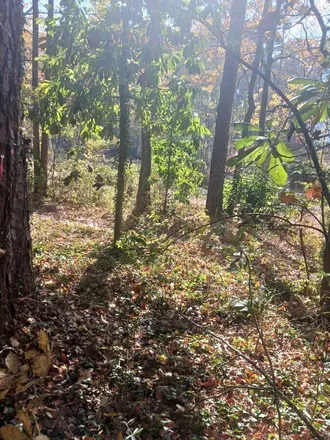 2026-01-02 photo 2