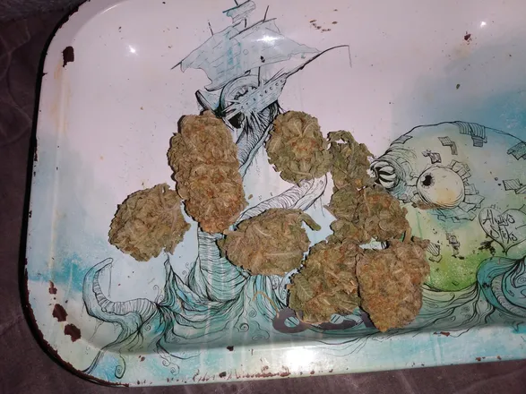 OnlyFans cuenta badbunny42018 header 2