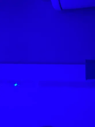 OnlyFans cuenta shelby412 header 2