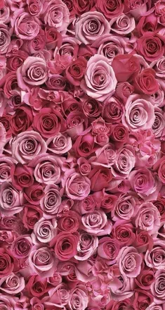OnlyFans cuenta nuka_cola header 2