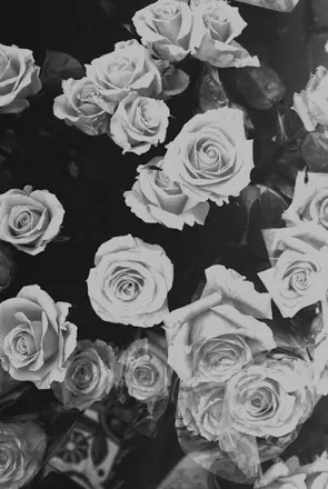 OnlyFans account  vixxen1486 header 2