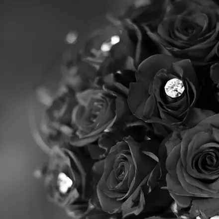 OnlyFans cuenta diamondrosesforyou header 2