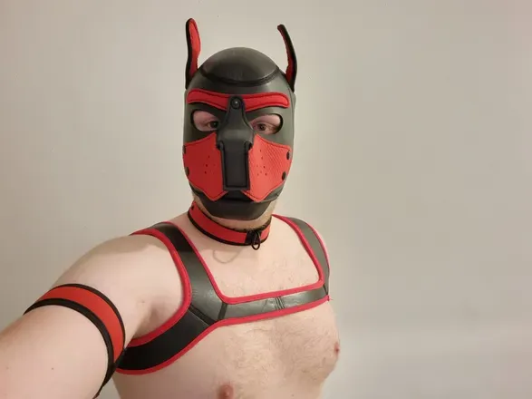 OnlyFans cuenta wet_phoenix header 2