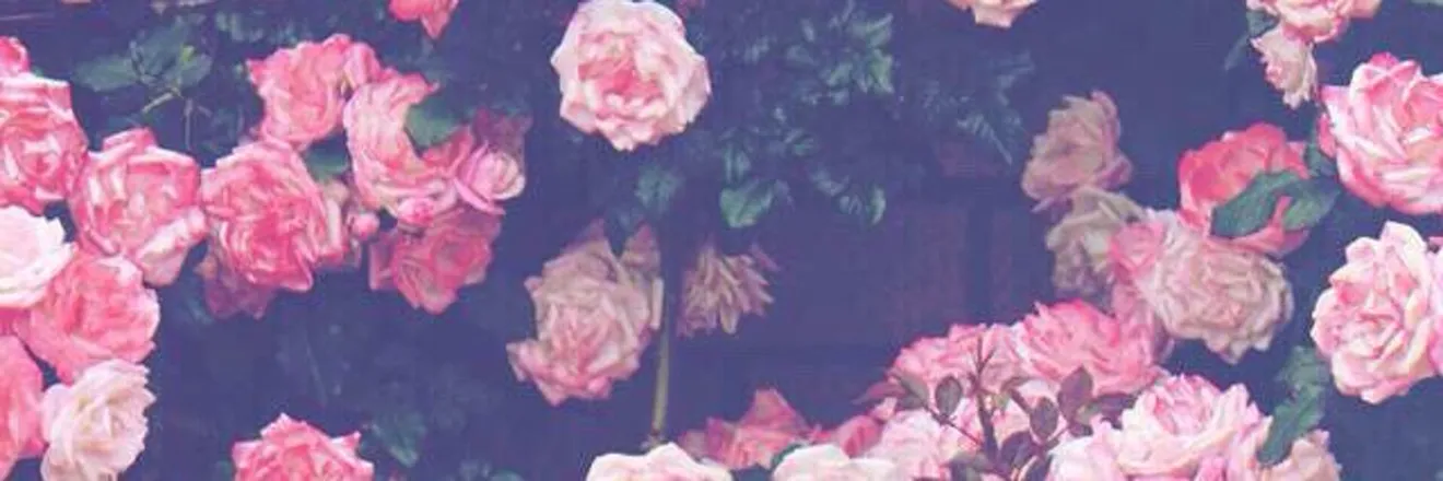 OnlyFans cuenta thisminefield header 2