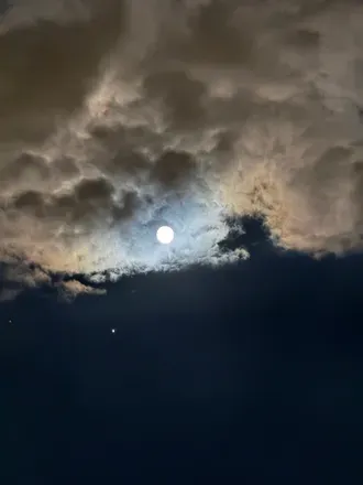 OnlyFans cuenta bigbutcherbadass header 2