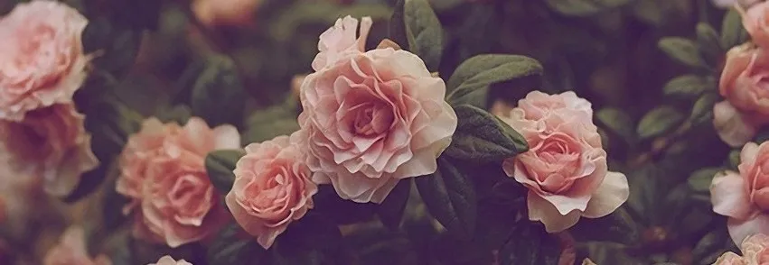 OnlyFans cuenta makbabi header 2