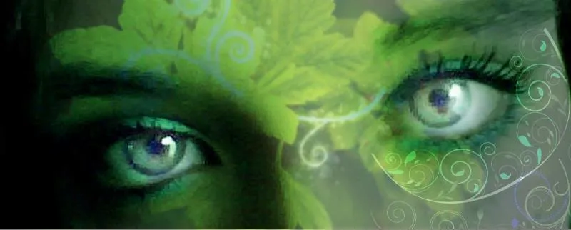 OnlyFans cuenta lclivelaughlove header 2