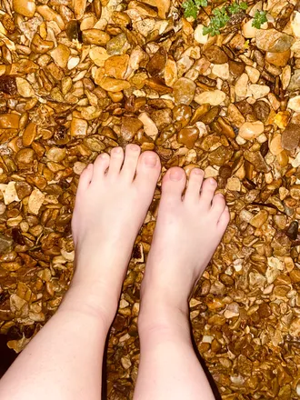 OnlyFans cuenta feetforfunfeetforu avatar 1
