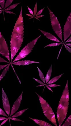 OnlyFans cuenta kitkatboo header 2