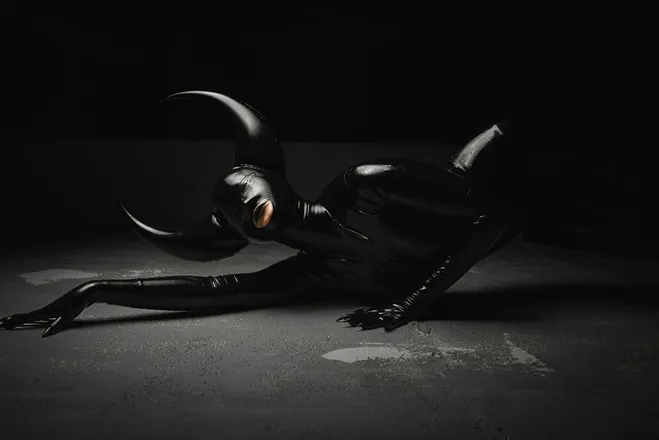 OnlyFans cuenta siasol header 2