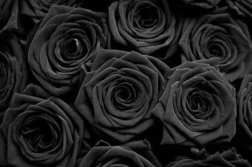 OnlyFans cuenta manicpixiemombod header 2