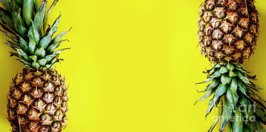 OnlyFans cuenta onevixx header 2