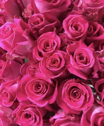 OnlyFans cuenta michyyyyofficial header 2