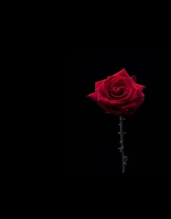 OnlyFans cuenta abstrakkt header 2