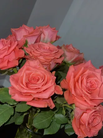 OnlyFans cuenta princessataaj header 2