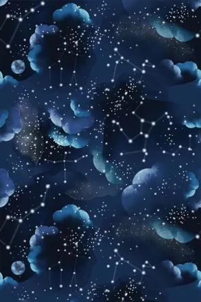 OnlyFans cuenta rhapsodic.jellyfish header 2