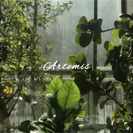 OnlyFans cuenta artemisbbw header 2