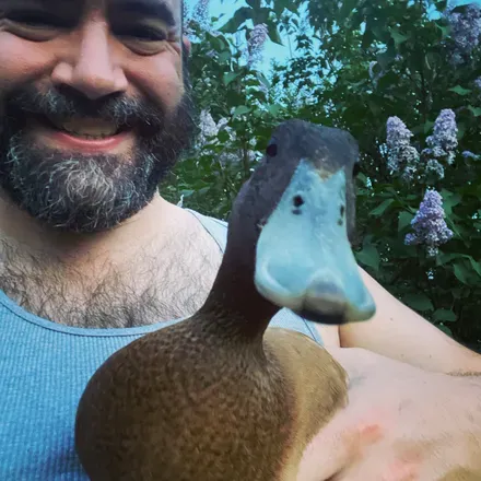 OnlyFans cuenta the.mr.chicken avatar 1