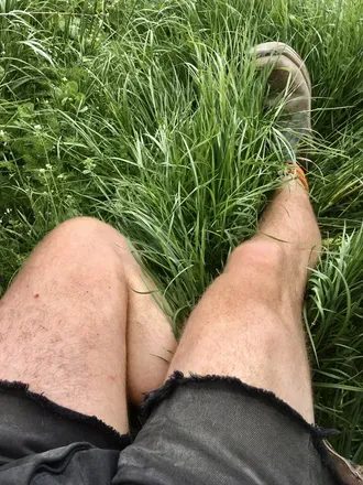 OnlyFans cuenta thefarmerslegs header 2