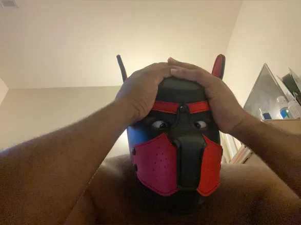 OnlyFans cuenta pupfury avatar 1