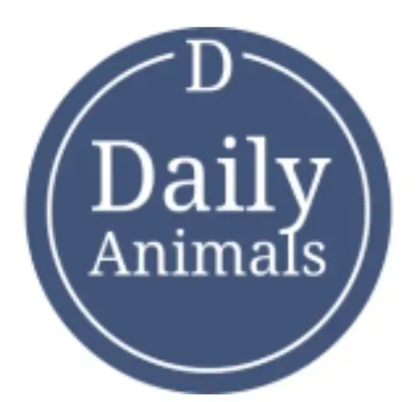 OnlyFans cuenta dailyanimalfeed avatar 1