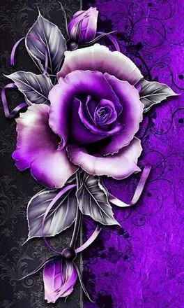OnlyFans account  violetrose77 avatar 1