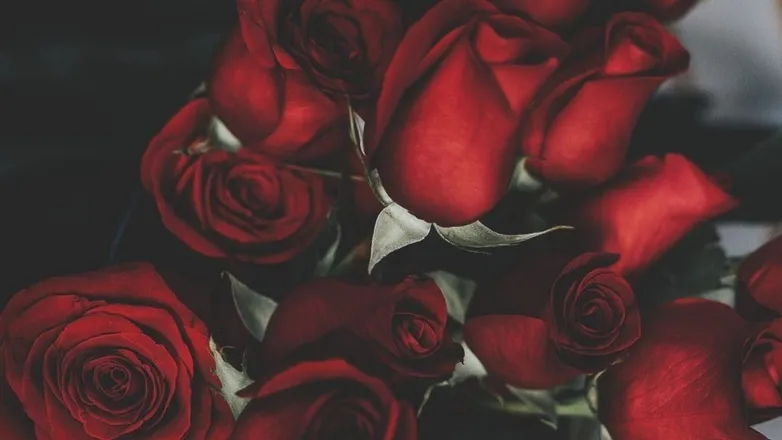 OnlyFans cuenta emilyrosexo_96 header 2