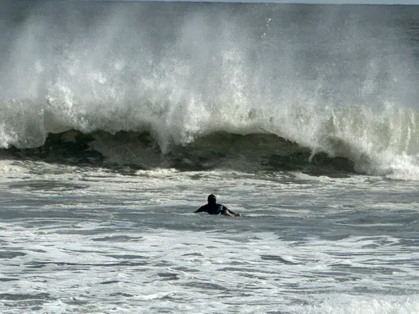 OnlyFans cuenta usaltlifesurfer avatar 1