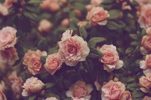 OnlyFans cuenta tina_loving header 2
