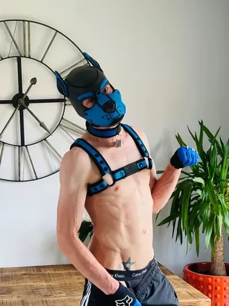 OnlyFans cuenta kaipup22 avatar 1
