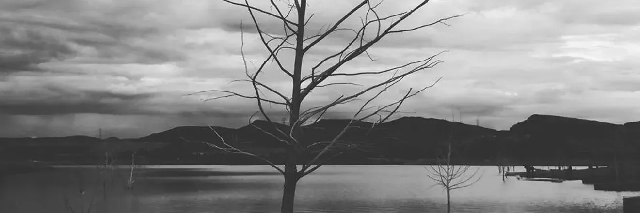 OnlyFans cuenta dracohomie header 2