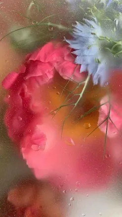OnlyFans cuenta sweetsunshineee header 2