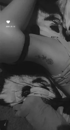OnlyFans cuenta dickman03 header 2
