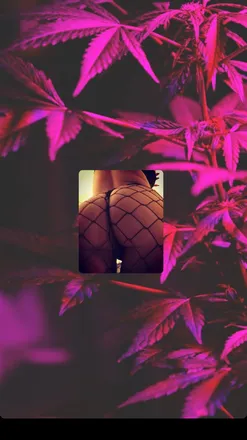 OnlyFans cuenta alimisfit header 2